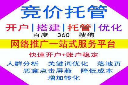 专业SEM托管服务成功案例分享